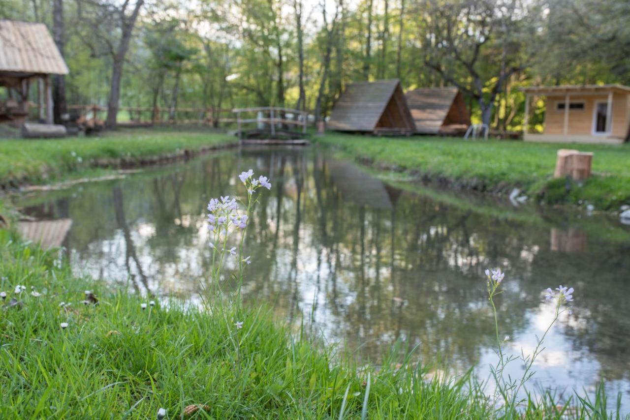 Kamp Na Otoku - Ljubno Ob Savinji Hotel ภายนอก รูปภาพ